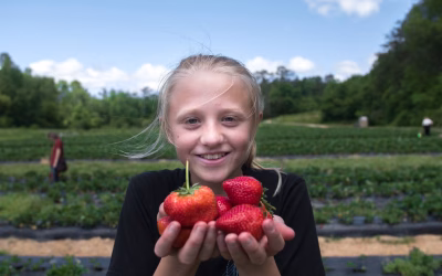 Strawberry Nutrition Benefits
