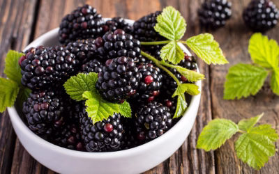 Blackberry Nutrition Benefits