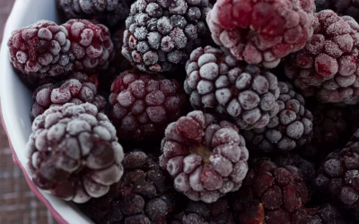 How to Freeze Blackberries