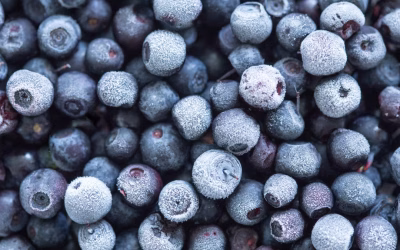 How to Freeze Blueberries