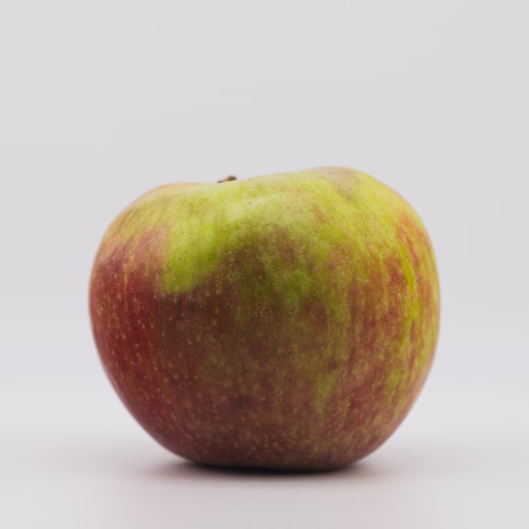 25.9.16 MO - Apple Catalog Stayman Winesap-1
