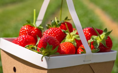Spring Family Itinerary (March – May)